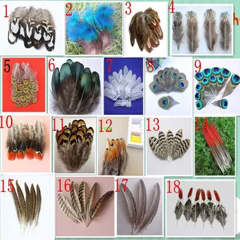 Продажба на едро на 10 бр. красив опашката на фазан и паунов пера 4-20 см/2-8 см
